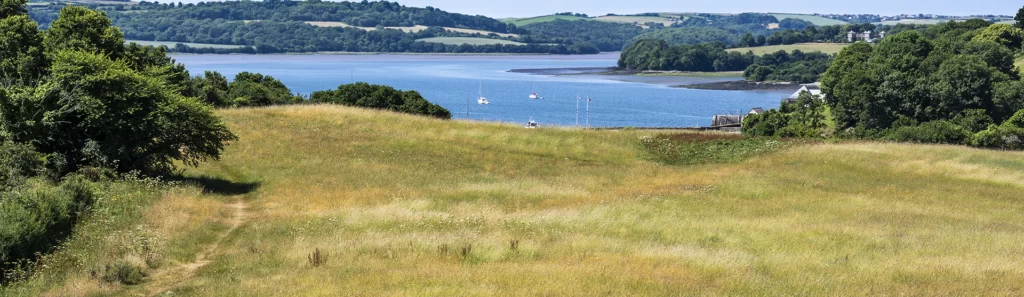 Saltash Farm Churchtown Farm Nature Reserve – Visit Saltash